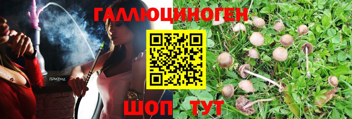 Ноябрьск  Псилоцибиновые грибы ЛСД  Вход с VPN  Псилоцибиновые грибы Psilocybe 